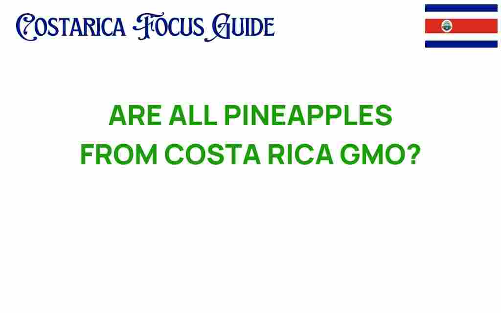 are-all-pineapples-from-costa-rica-gmo