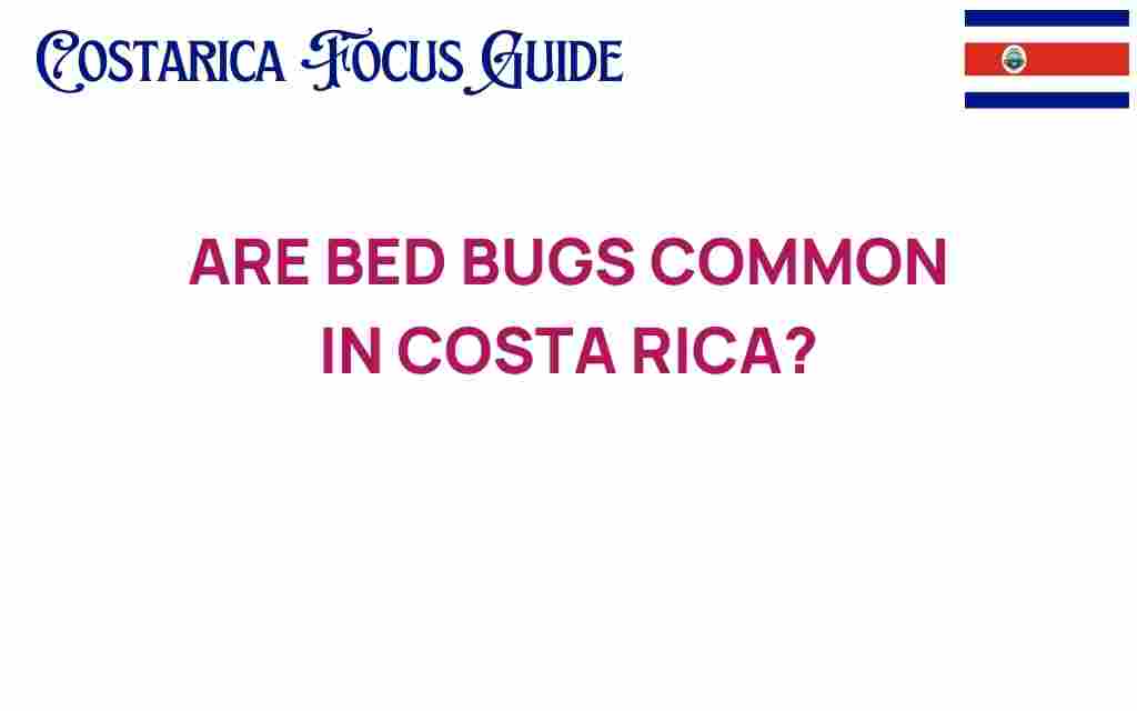 are-bed-bugs-common-in-costa-rica