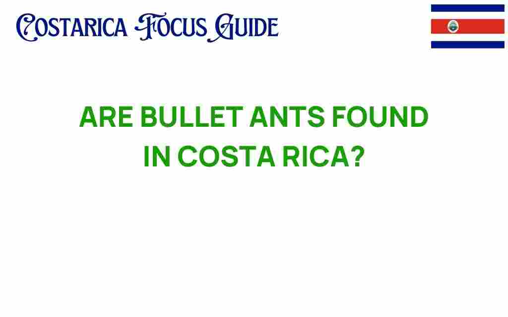 are-bullet-ants-found-in-costa-rica