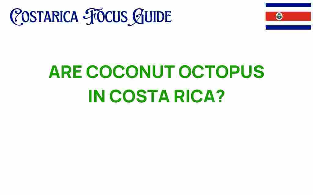 discovering-coconut-octopus-costa-rica