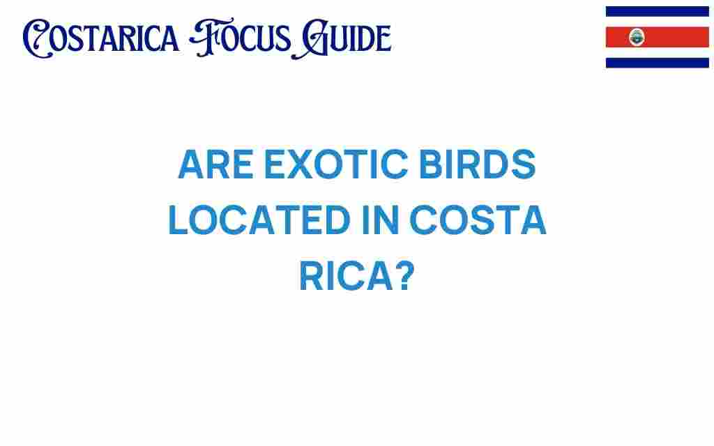 exotic-birds-costa-rica