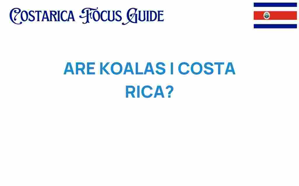are-koalas-really-in-costa-rica