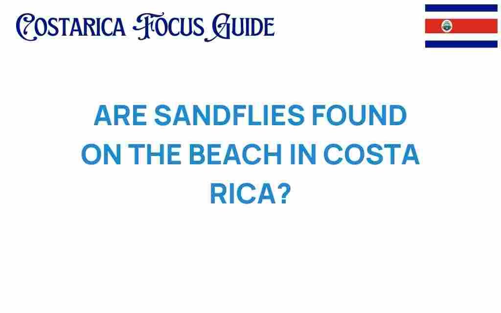 are-sandflies-found-on-the-beach-in-costa-rica