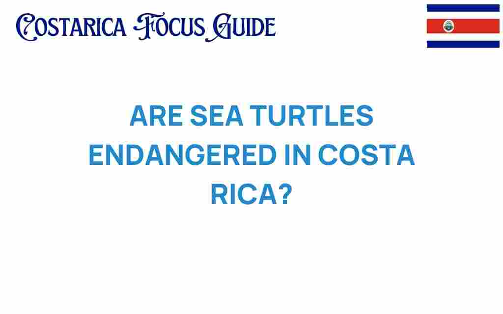 are-sea-turtles-endangered-costa-rica