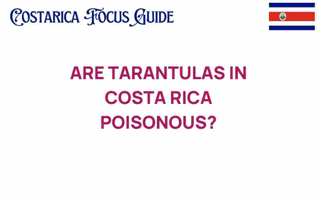 are-tarantulas-in-costa-rica-poisonous