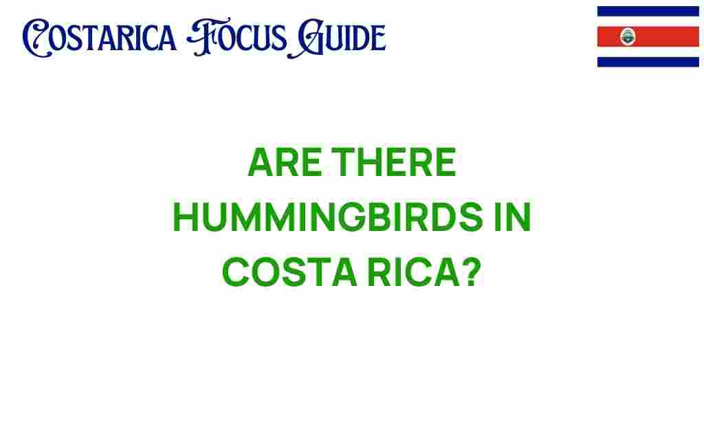 hummingbirds-costa-rica