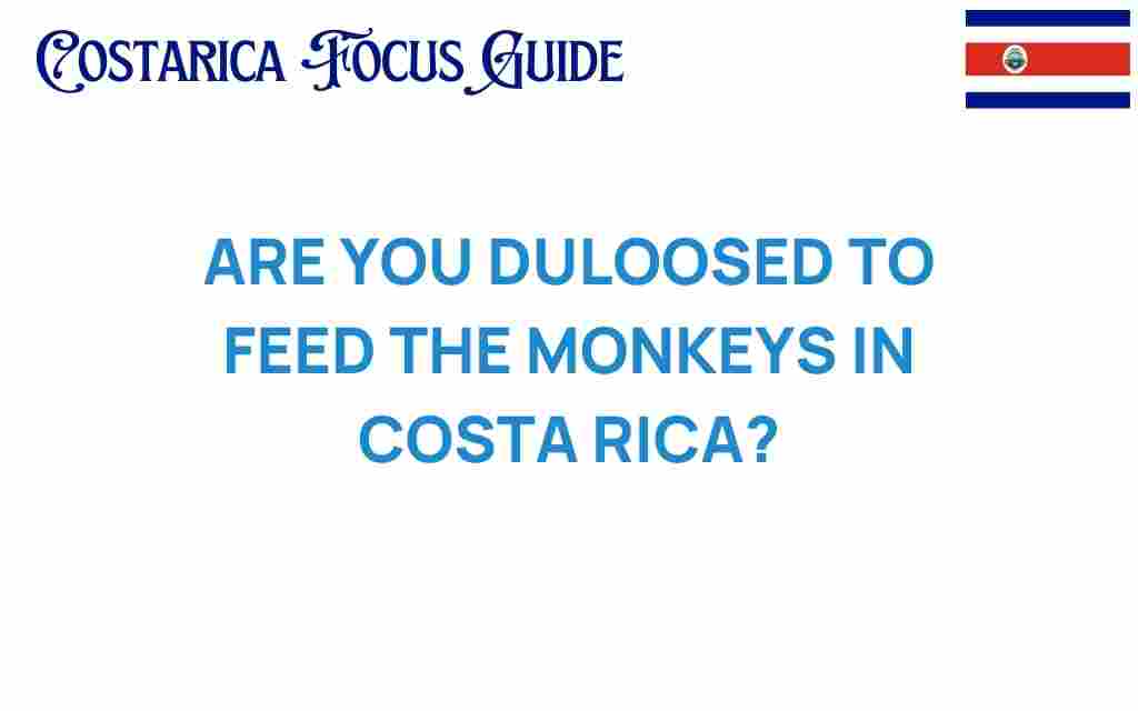 allowed-to-feed-monkeys-costa-rica