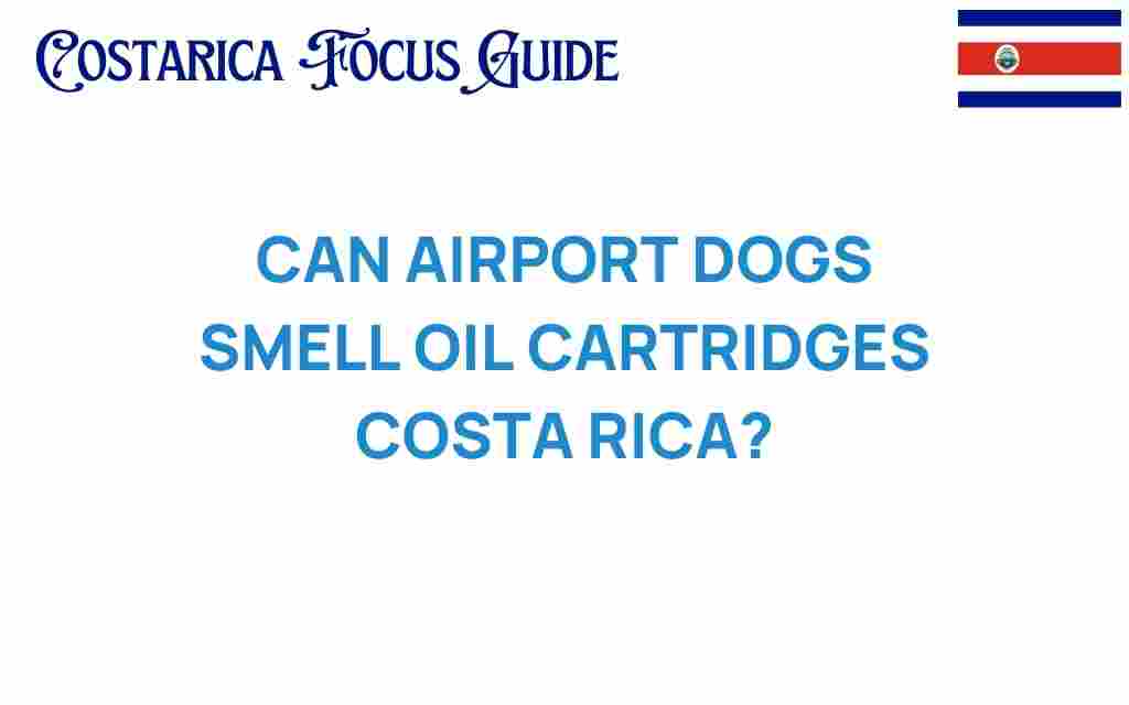 can-airport-dogs-smell-oil-cartridges-costa-rica