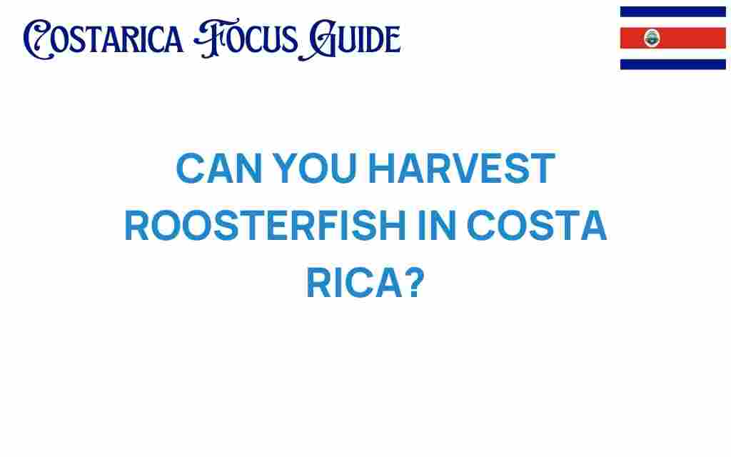 roosterfish-harvesting-costa-rica