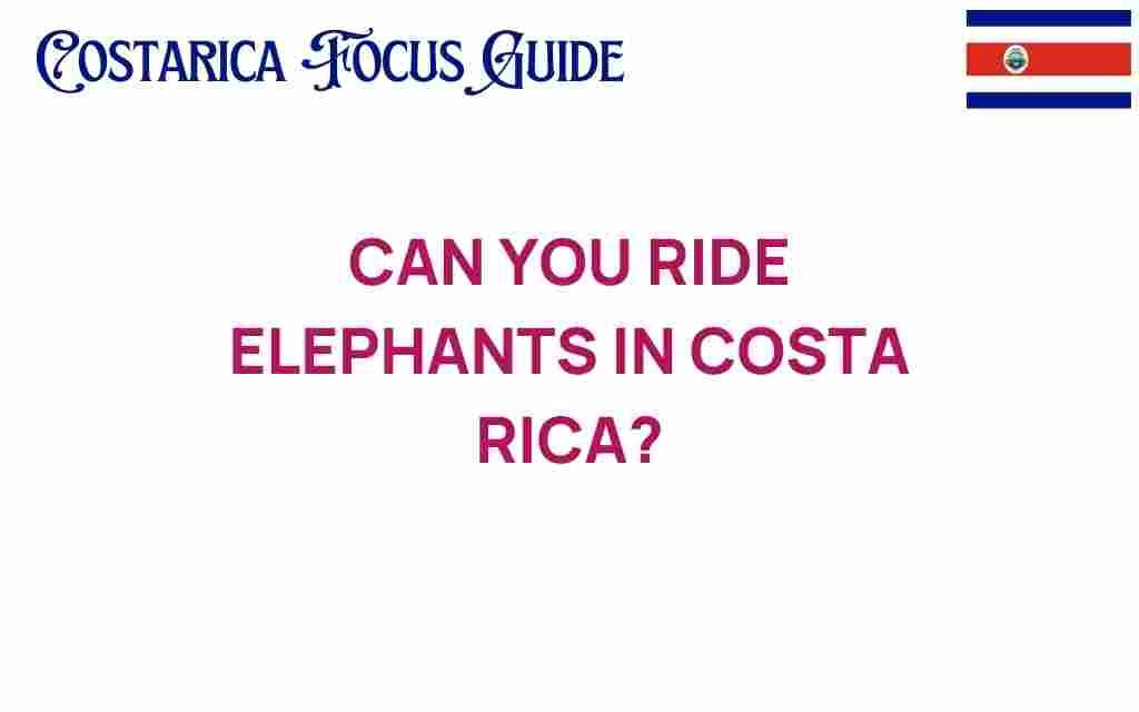 can-you-ride-elephants-in-costa-rica