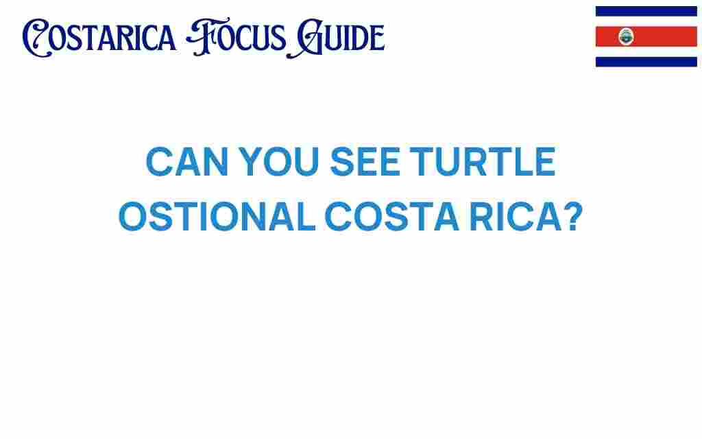 turtle-ostional-costa-rica