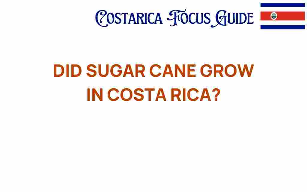 did-sugar-cane-grow-in-costa-rica