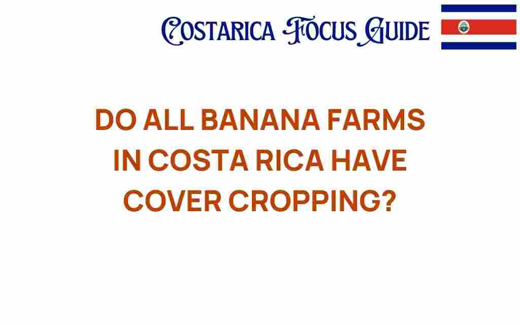 do-all-banana-farms-costa-rica-cover-cropping