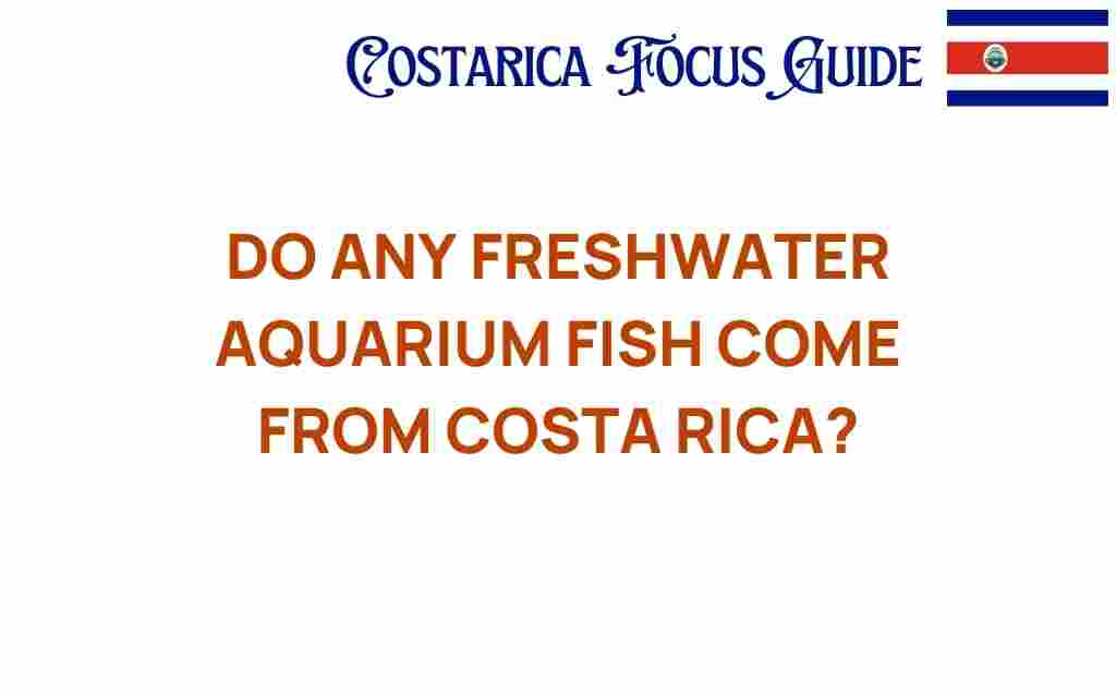 freshwater-aquarium-fish-costa-rica