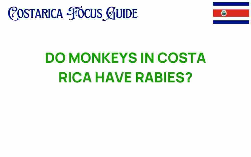 do-monkeys-in-costa-rica-have-rabies