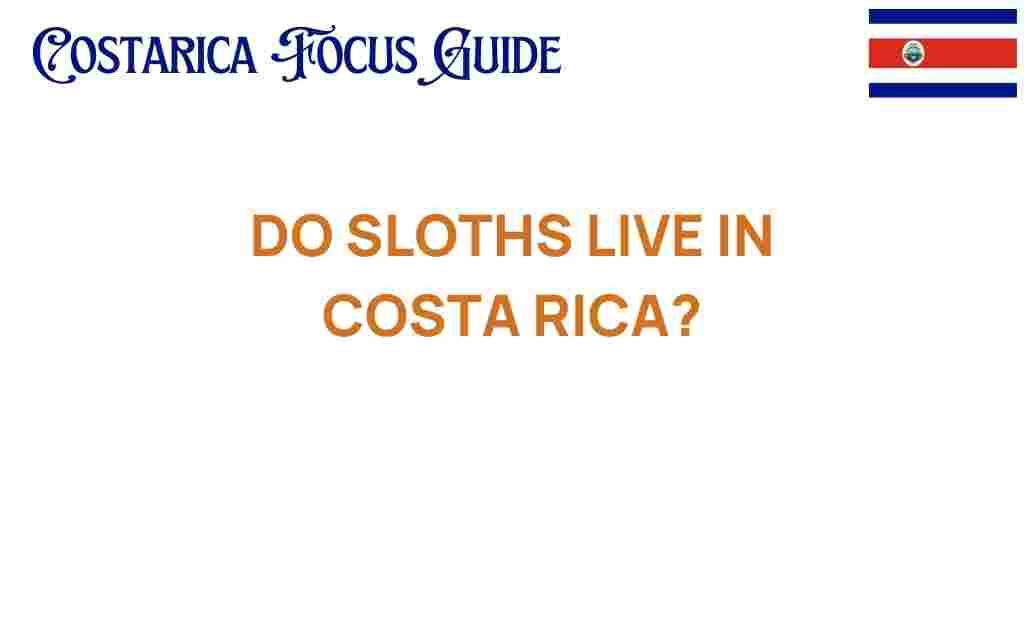 do-sloths-live-in-costa-rica