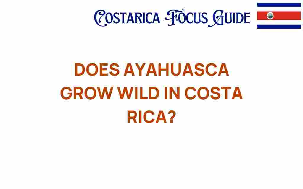 does-ayahuascas-grow-wild-in-costa-rica
