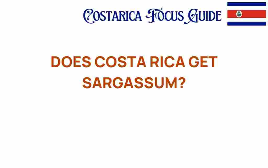 does-costa-rica-get-sargassum