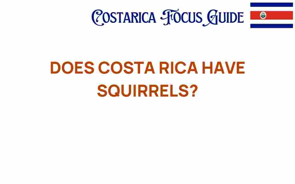 costa-rica-squirrels