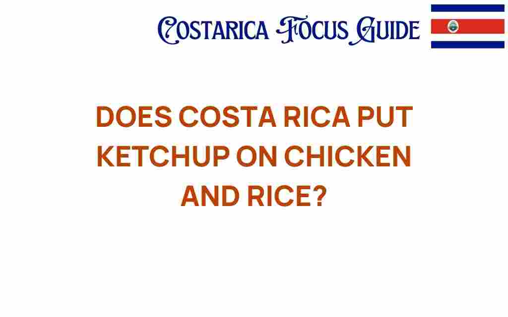 does-costa-rica-put-ketchup-on-chicken-and-rice