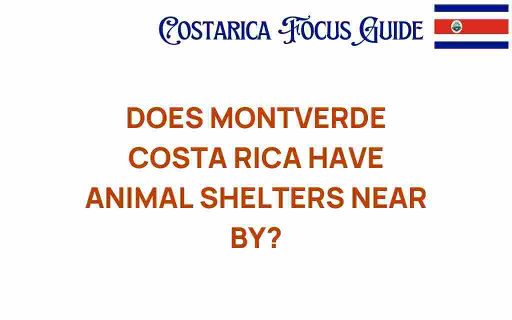 montverde-costa-rica-animal-shelters