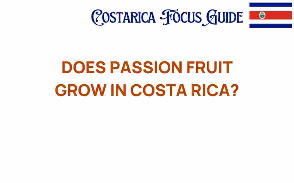 passion-fruit-growth-costa-rica