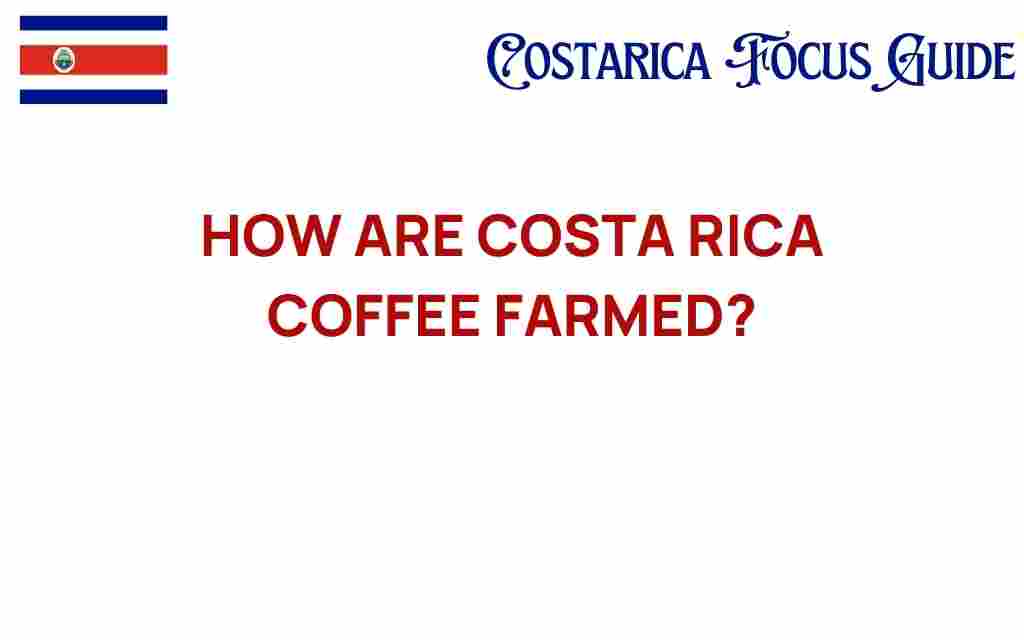 how-costa-rica-coffee-farmed