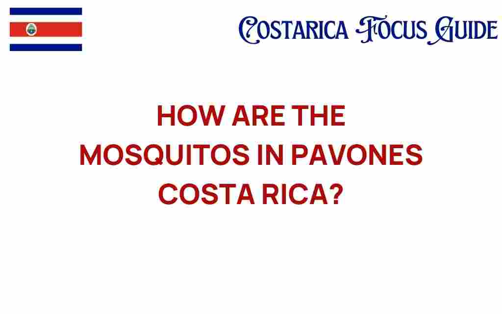 exploring-mosquitoes-pavones-costa-rica