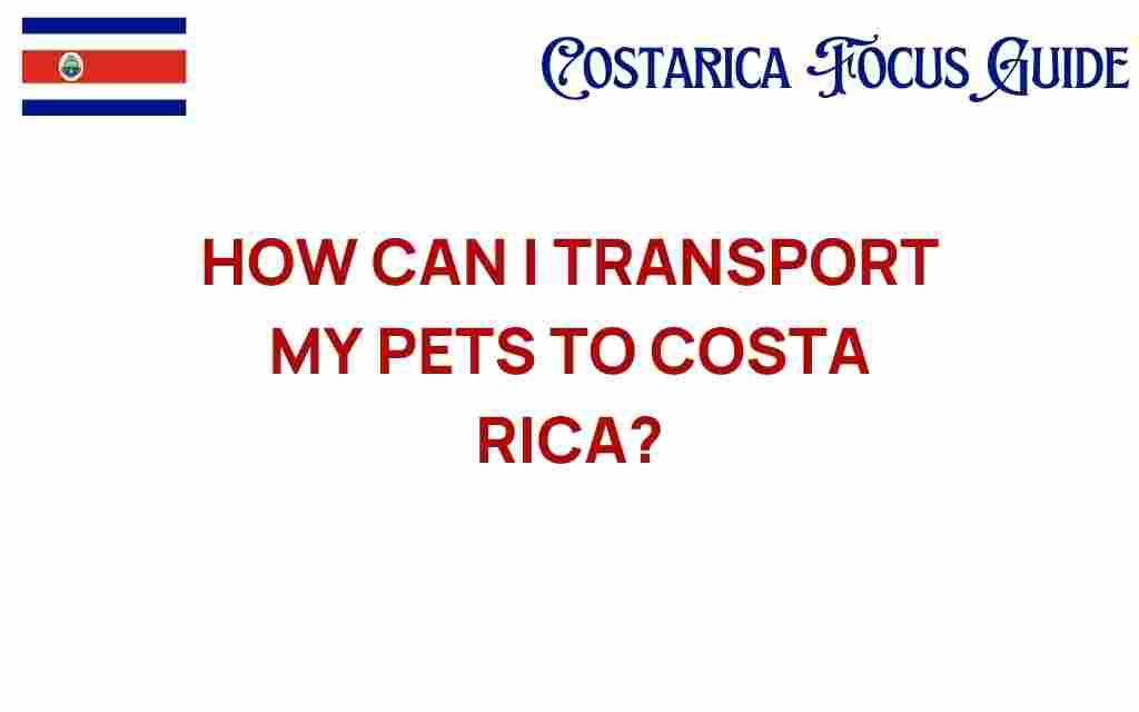 transport-my-pets-to-costa-rica
