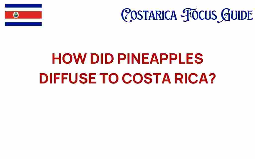 how-pineapples-diffused-to-costa-rica