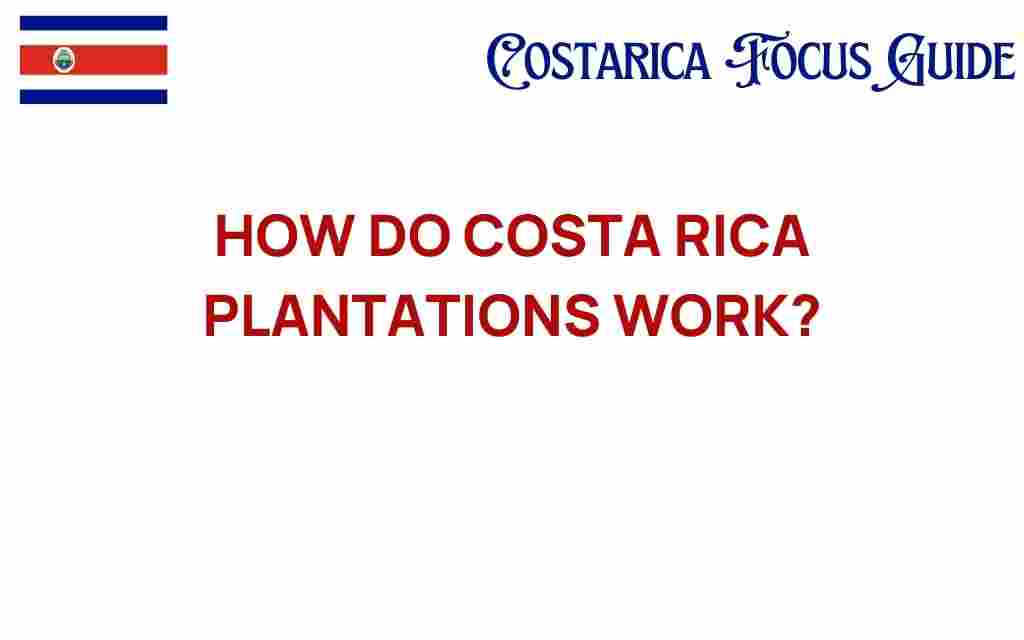 costa-rica-plantations