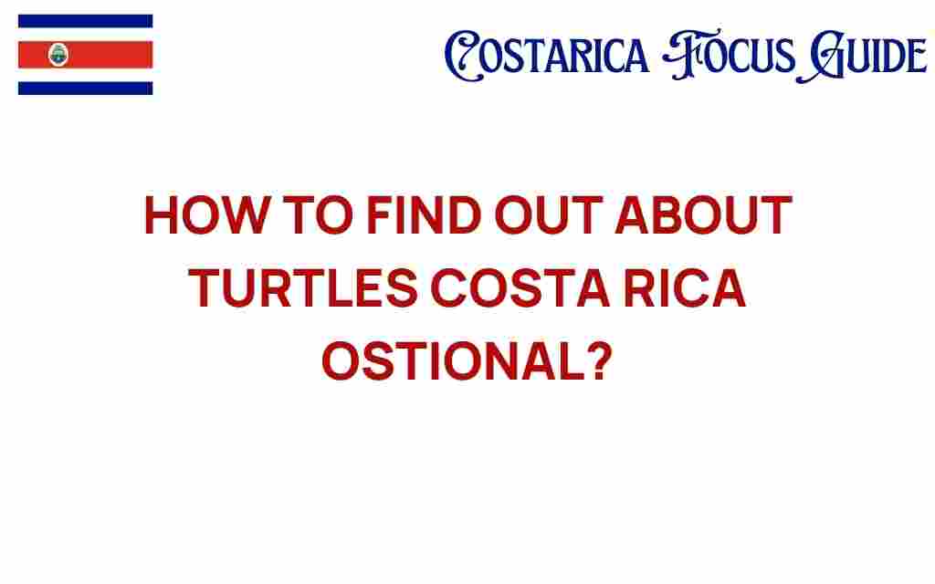 find-turtles-costa-rica-ostional