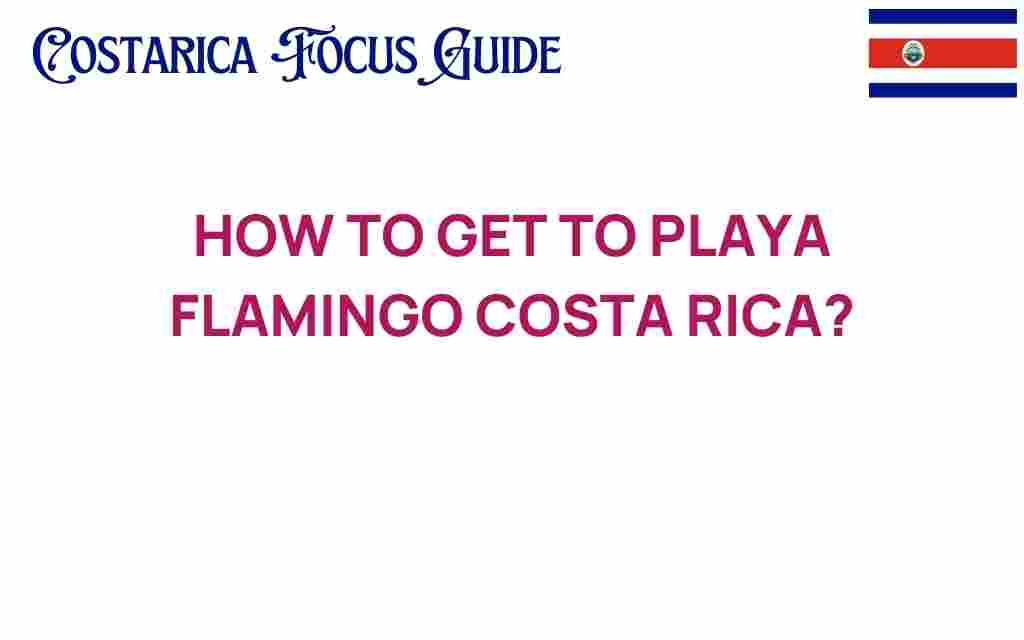 how-to-get-to-playa-flamingo-costa-rica