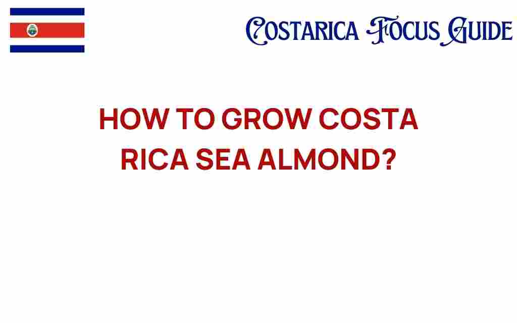 grow-costa-rica-sea-almond