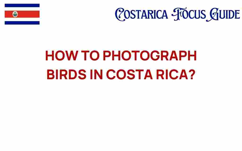 photographing-birds-in-costa-rica