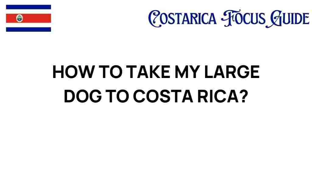 taking-large-dog-to-costa-rica