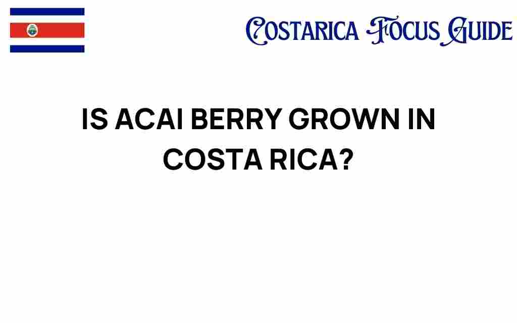 is-acai-berry-grown-in-costa-rica