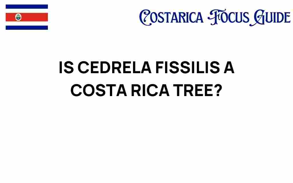 is-cedrela-fissilis-a-costa-rica-tree