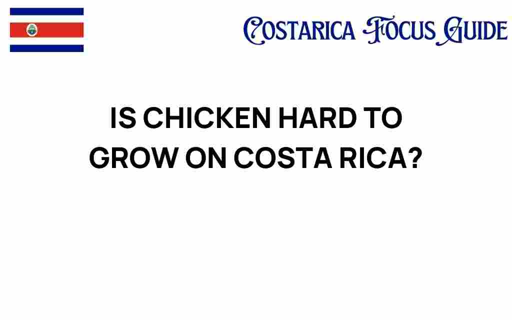is-chicken-hard-to-grow-on-costa-rica