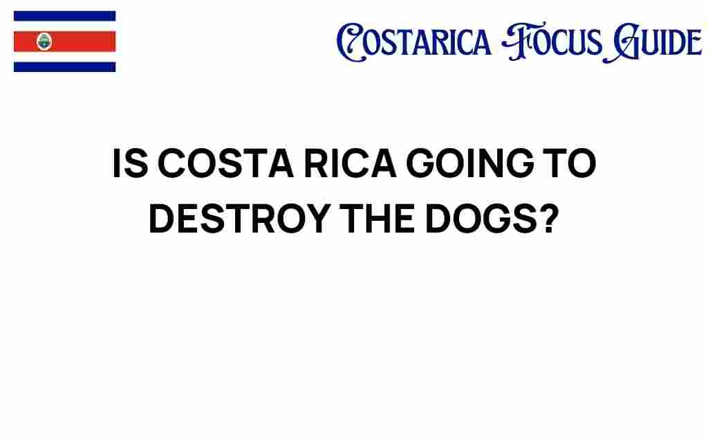 costa-rica-dogs-risk