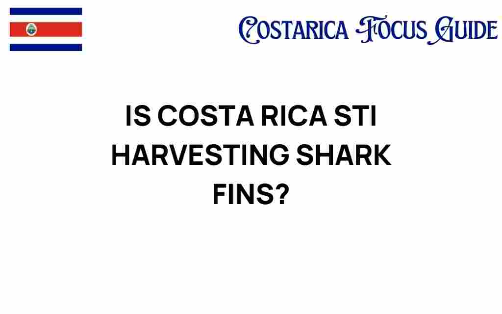is-costa-rica-harvesting-shark-fins