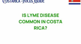 Is Lyme Disease Common in Costa Rica? Uncovering the Truth