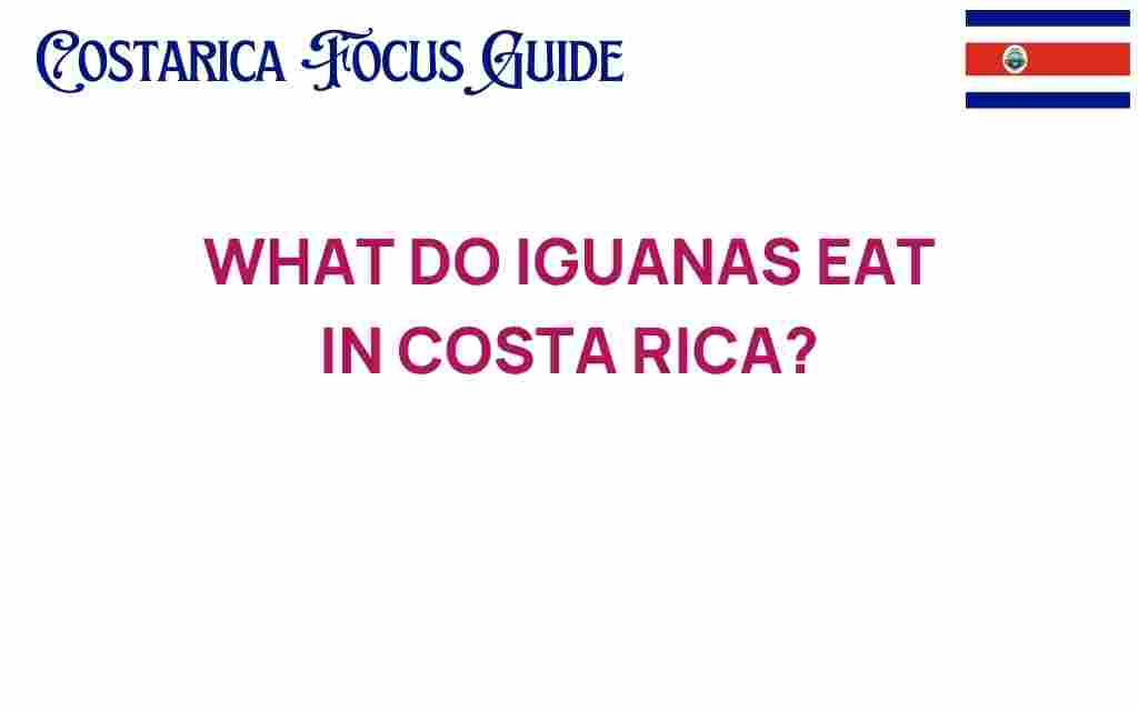 what-iguanas-eat-costa-rica