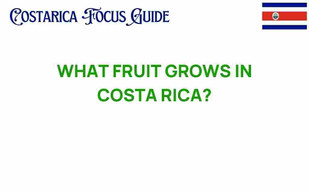 costa-rica-fruits-exotic-tropical