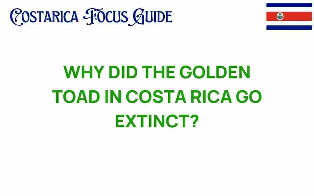 golden-toad-extinction-costa-rica